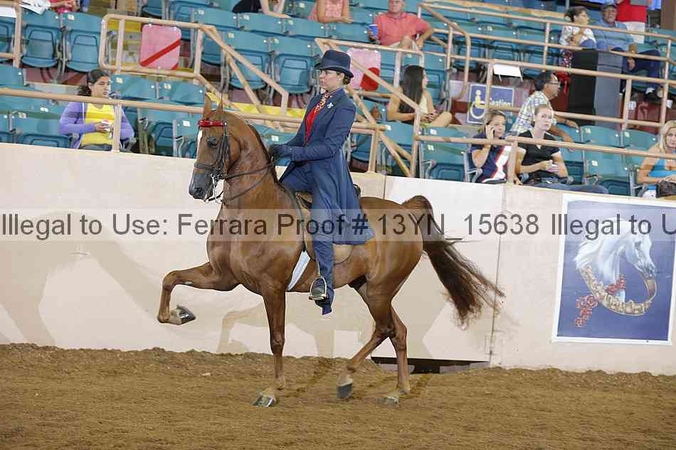 Proof 13yn_15638