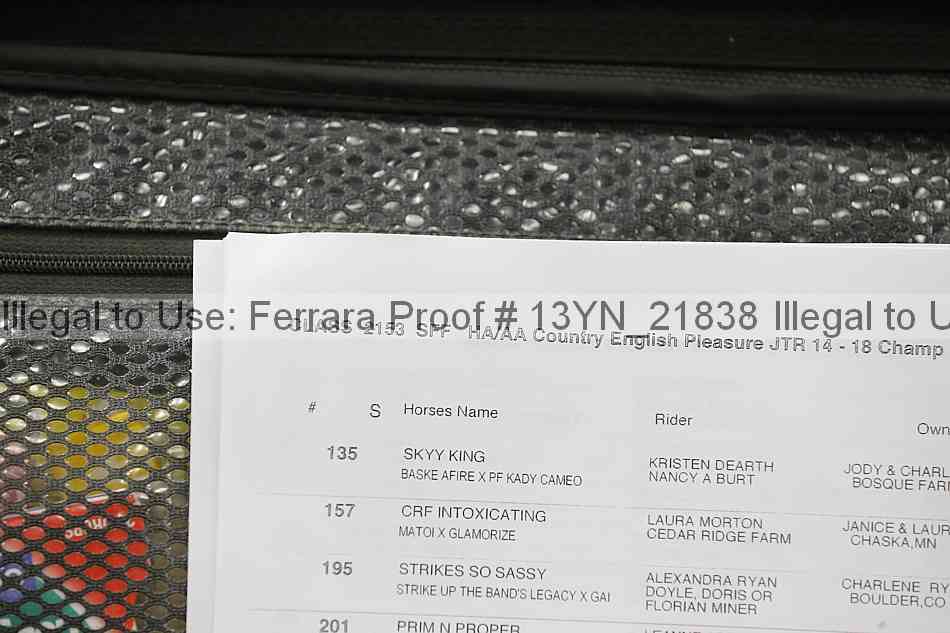 Proof 13yn_21838