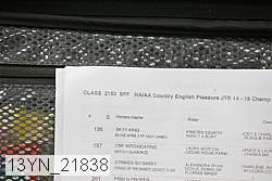 13yn_21838 proof
