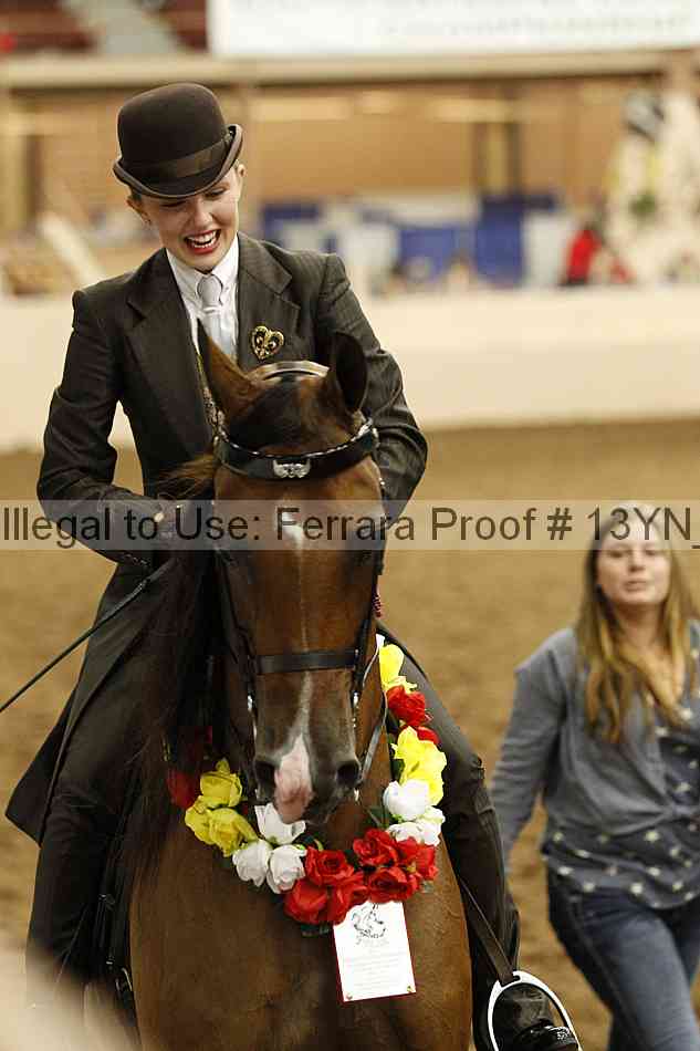 Proof 13yn_21904