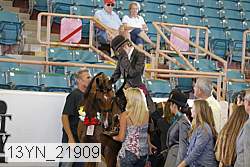 13yn_21909 proof