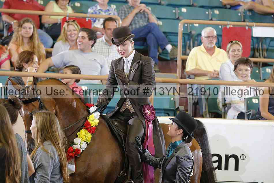 Proof 13yn_21910