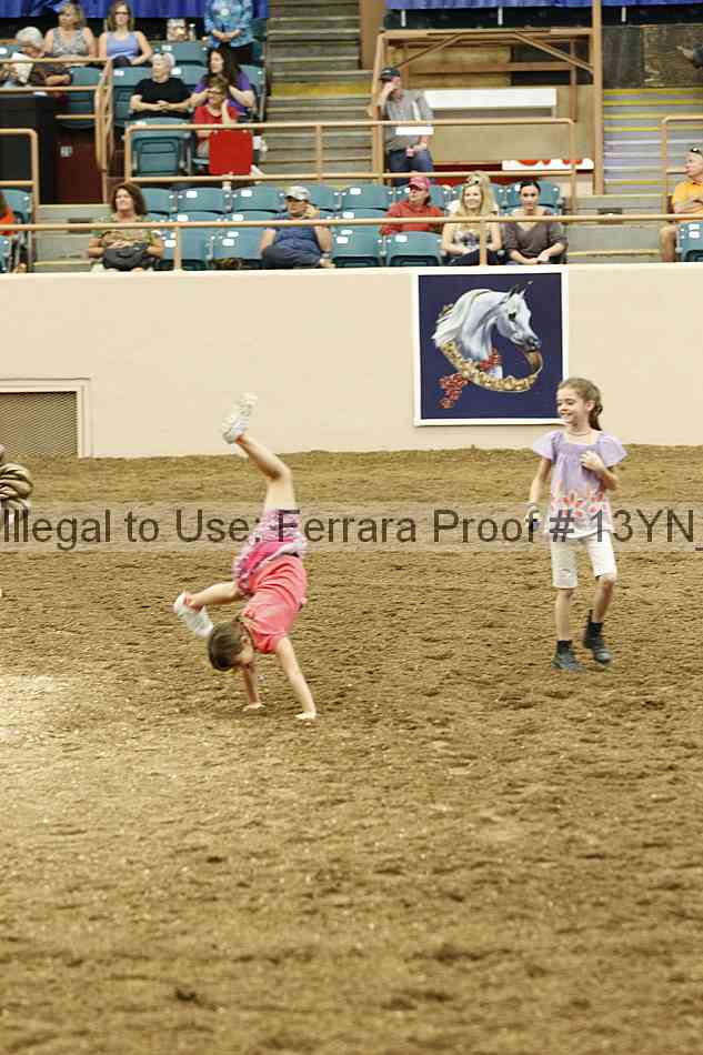 Proof 13yn_21917