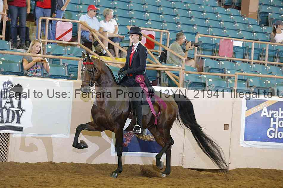 Proof 13yn_21941