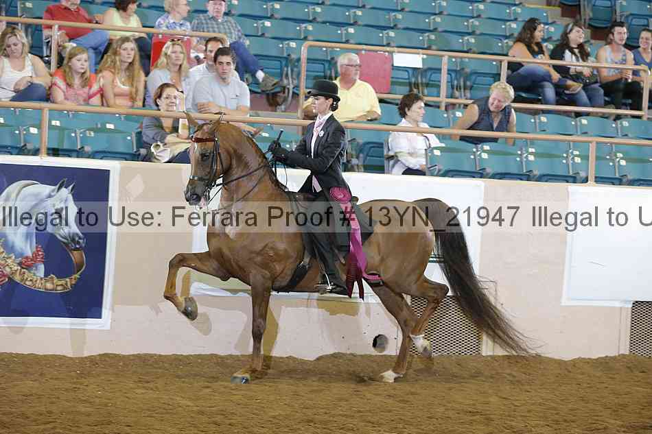 Proof 13yn_21947