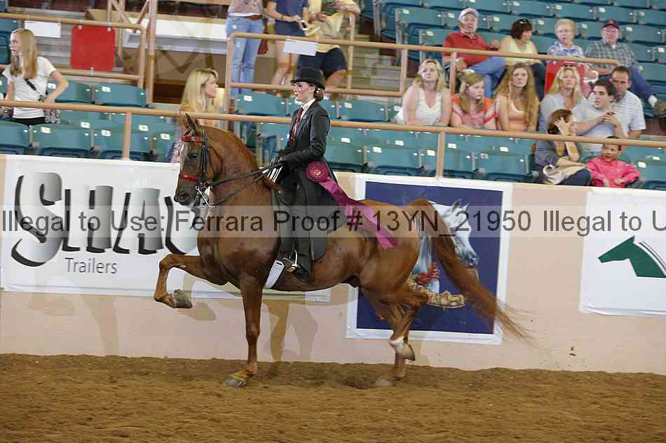 Proof 13yn_21950