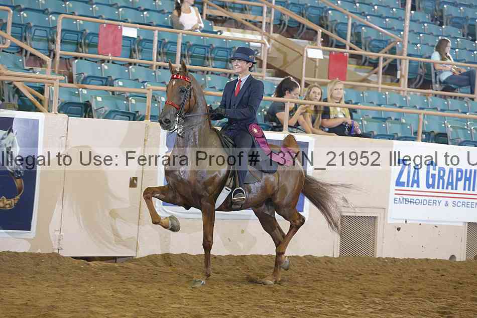 Proof 13yn_21952