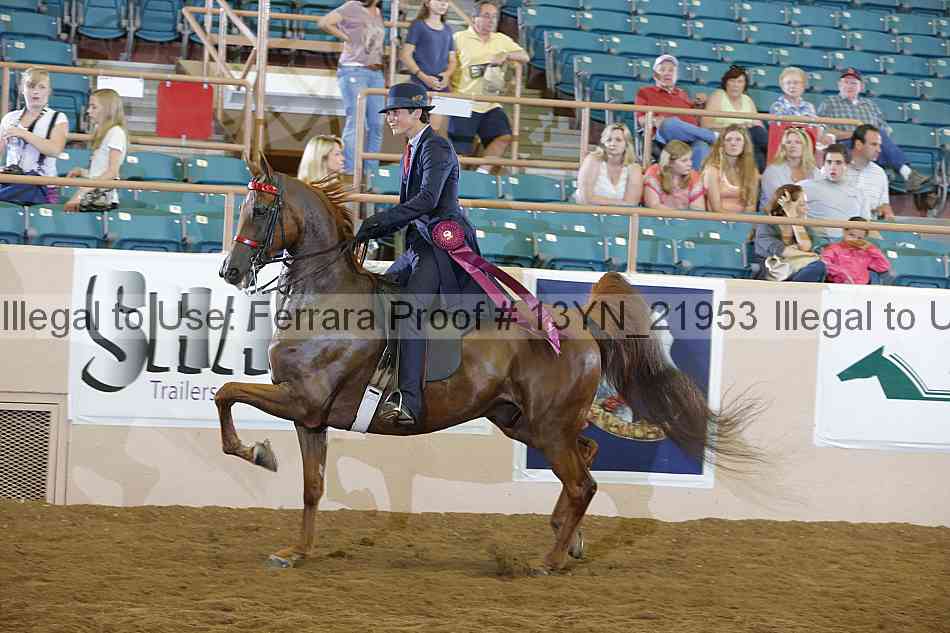 Proof 13yn_21953