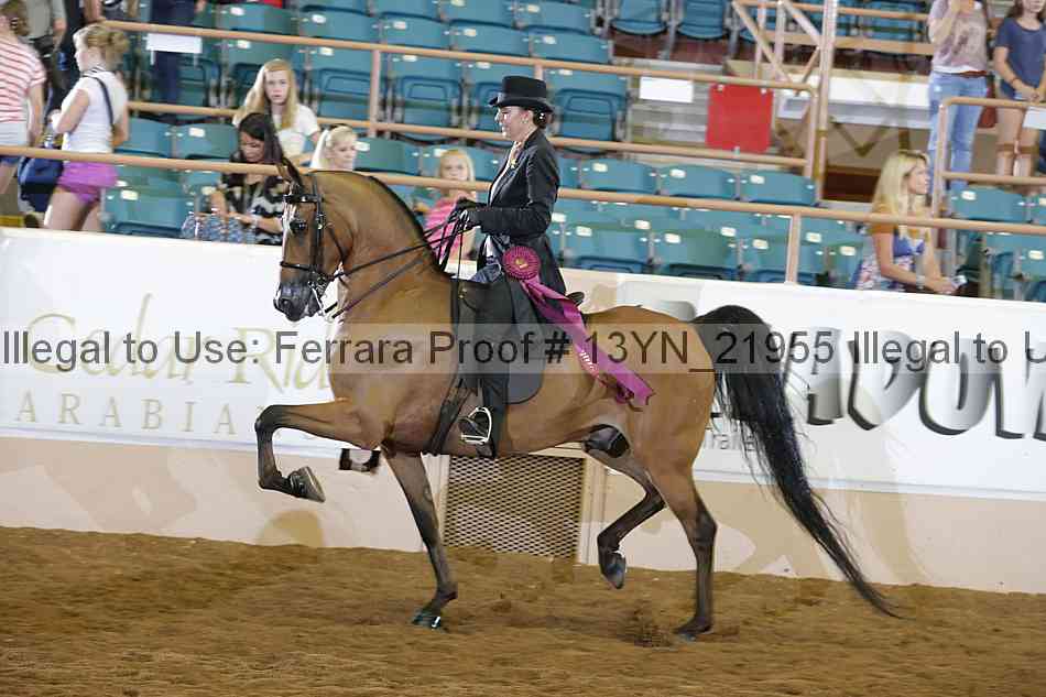 Proof 13yn_21955