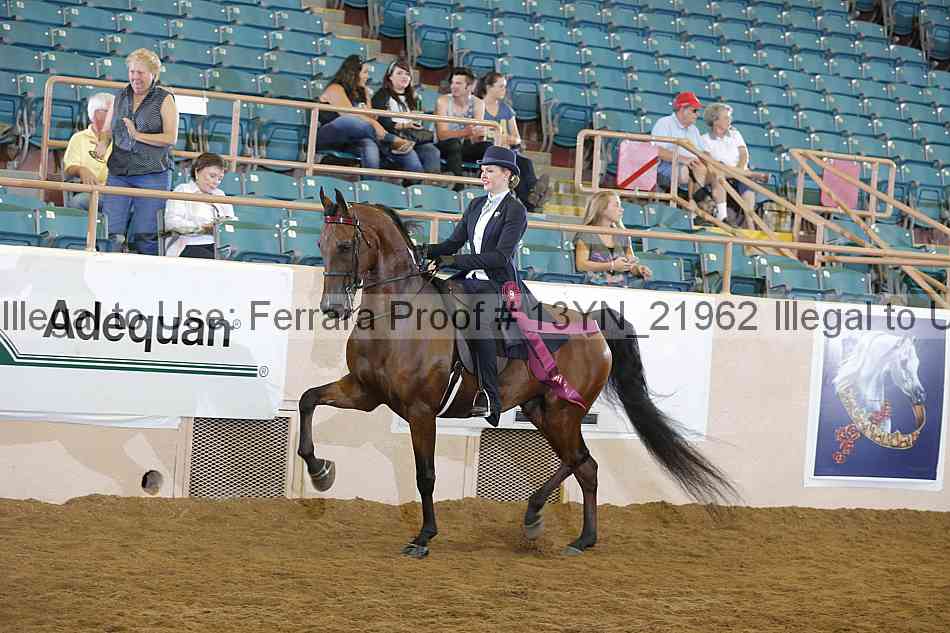 Proof 13yn_21962