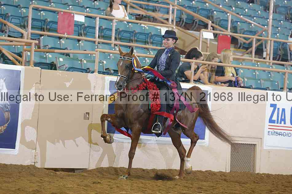 Proof 13yn_21968