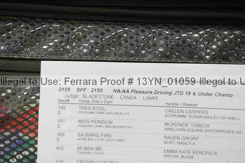 Proof 13yn_01059