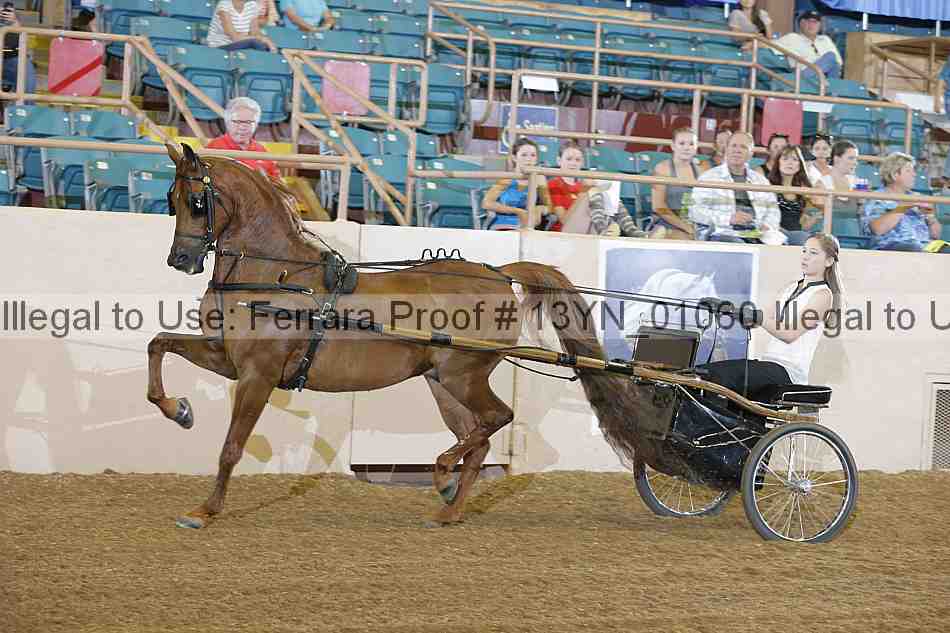 Proof 13yn_01060