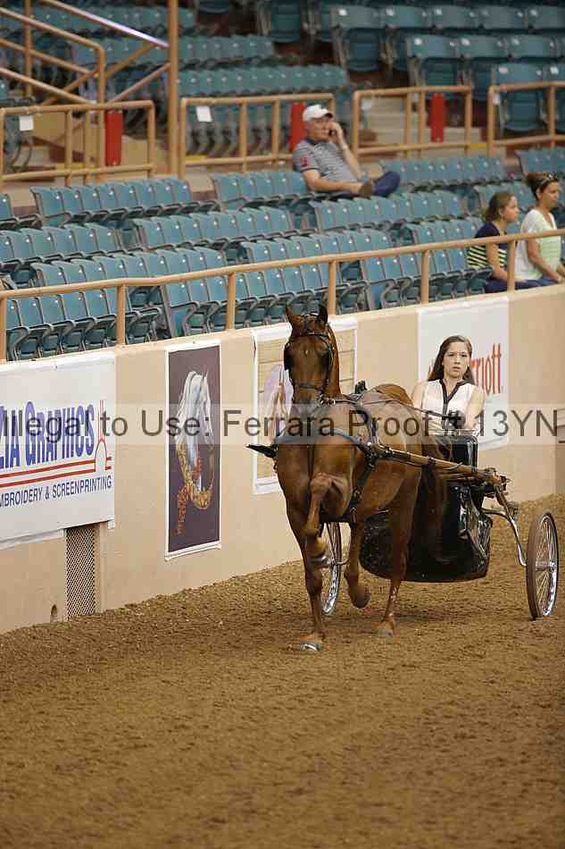 Proof 13yn_01064