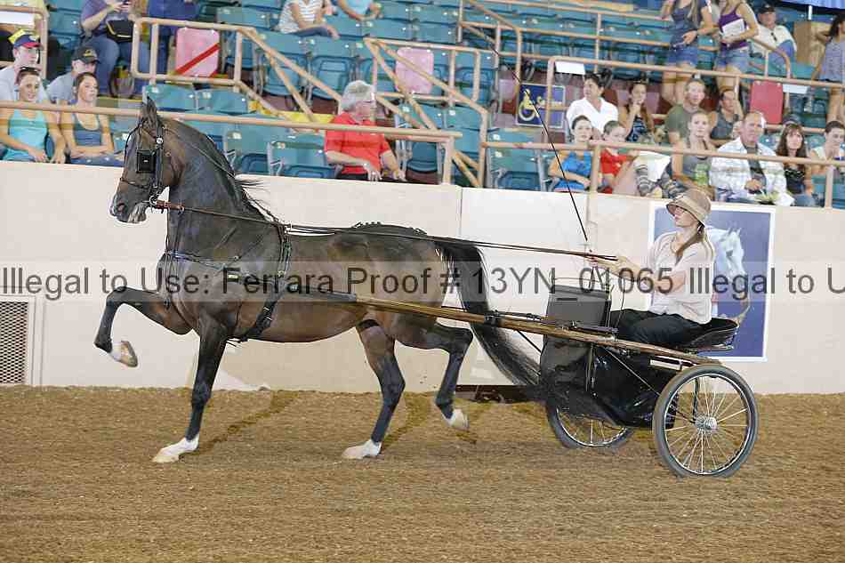 Proof 13yn_01065