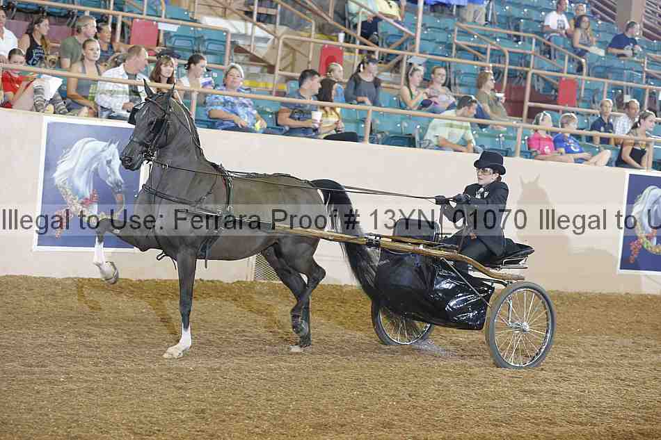 Proof 13yn_01070