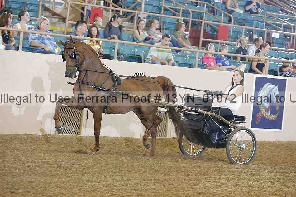 Proof 13yn_01072