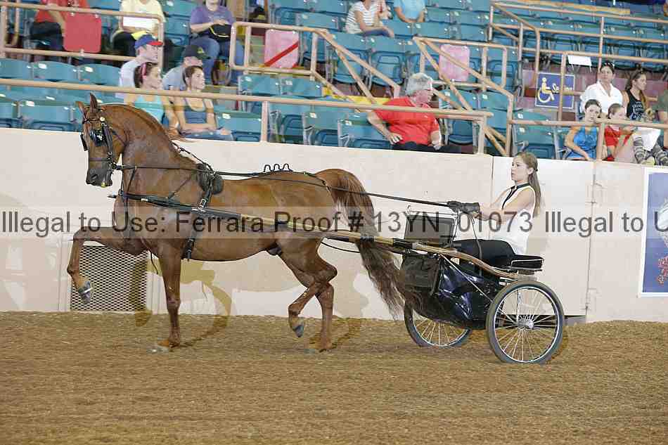 Proof 13yn_01073