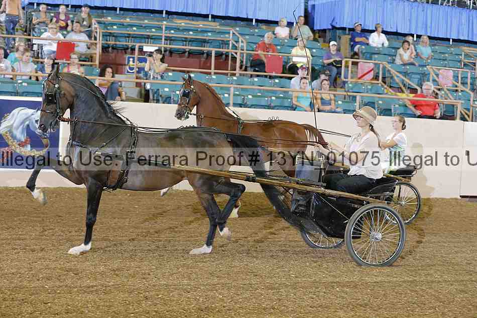 Proof 13yn_01075