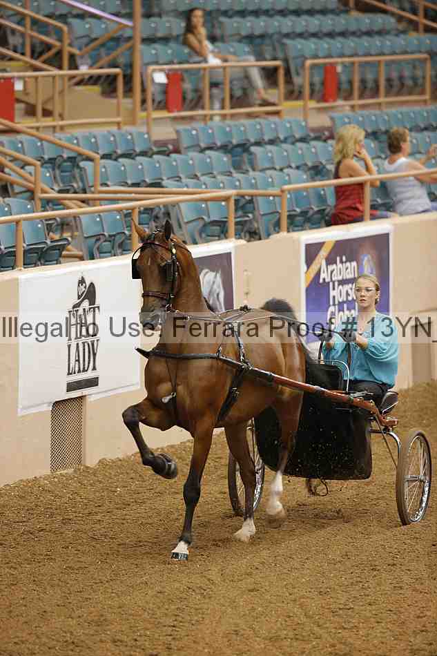 Proof 13yn_01078