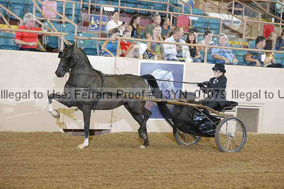 Proof 13yn_01079