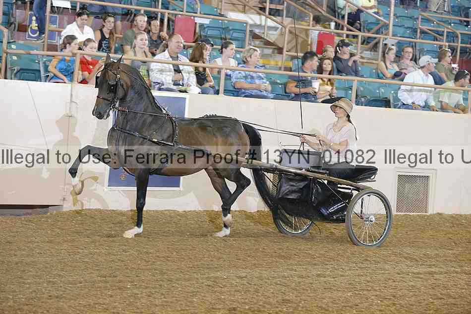 Proof 13yn_01082