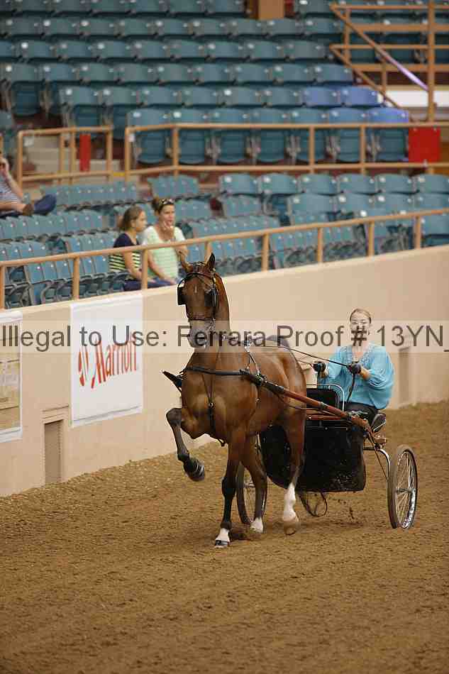 Proof 13yn_01085