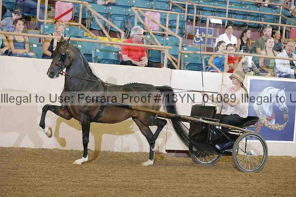 Proof 13yn_01089