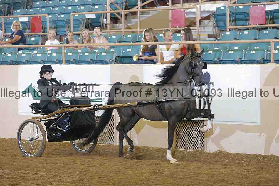 Proof 13yn_01093