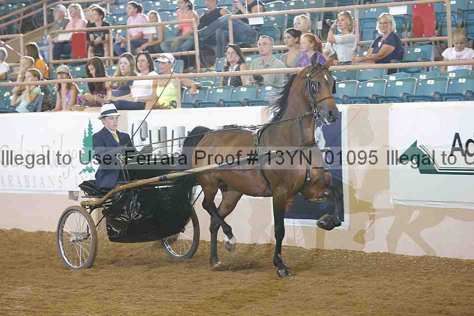 Proof 13yn_01095