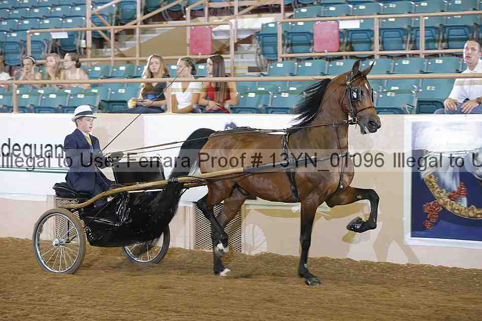 Proof 13yn_01096