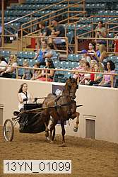 13yn_01099 proof