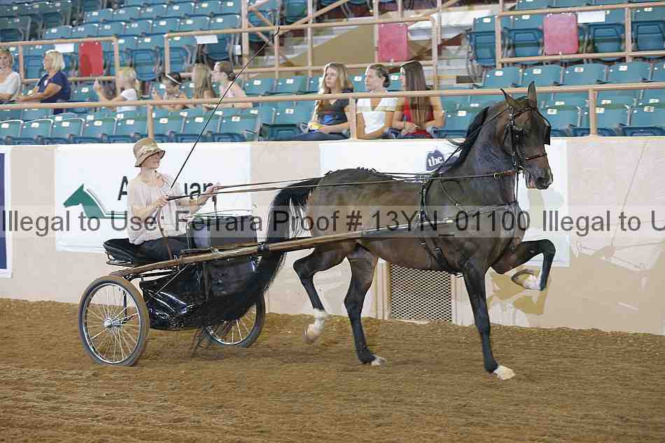 Proof 13yn_01100