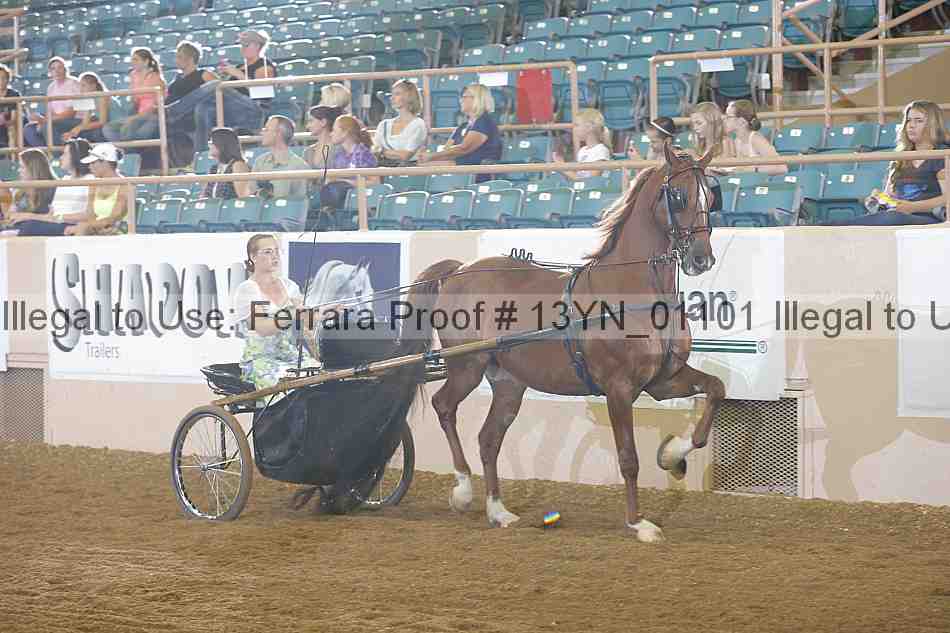 Proof 13yn_01101