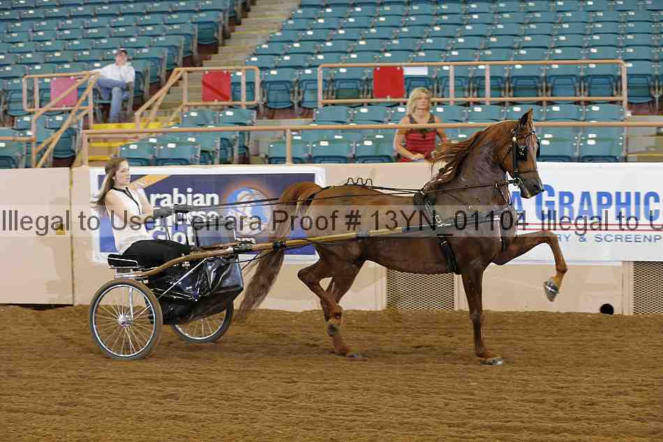 Proof 13yn_01104