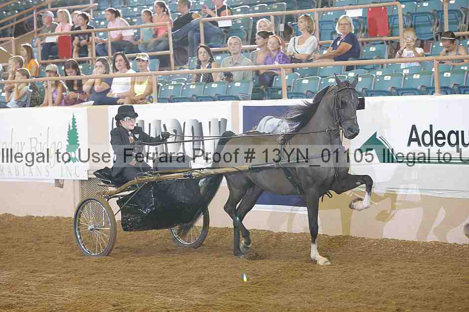 Proof 13yn_01105