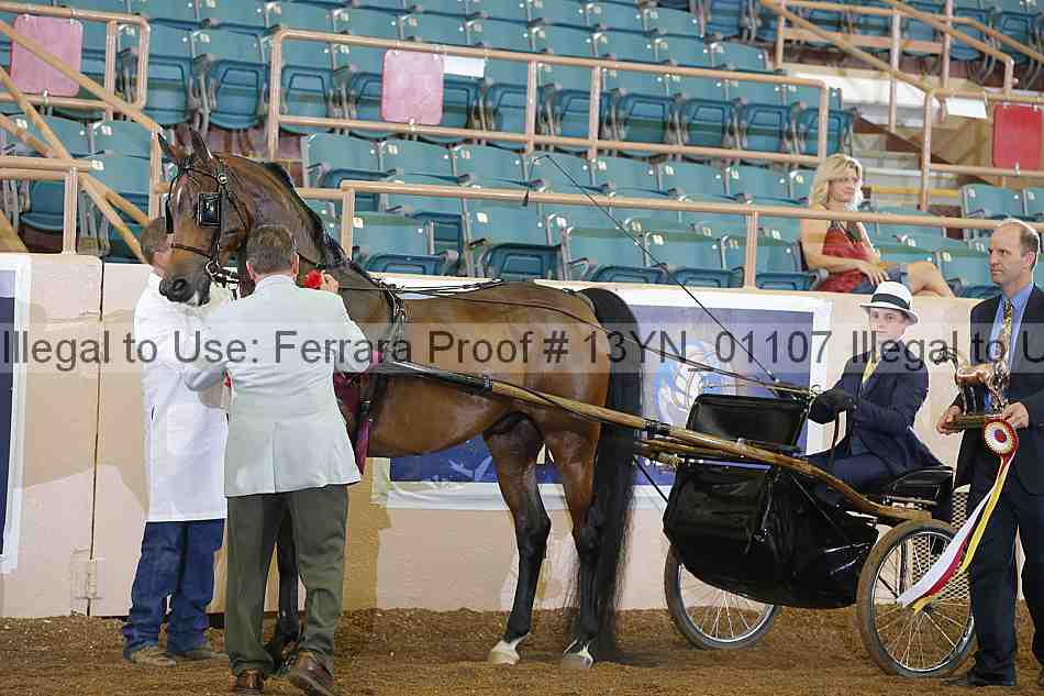 Proof 13yn_01107
