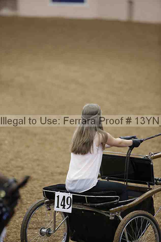 Proof 13yn_01130