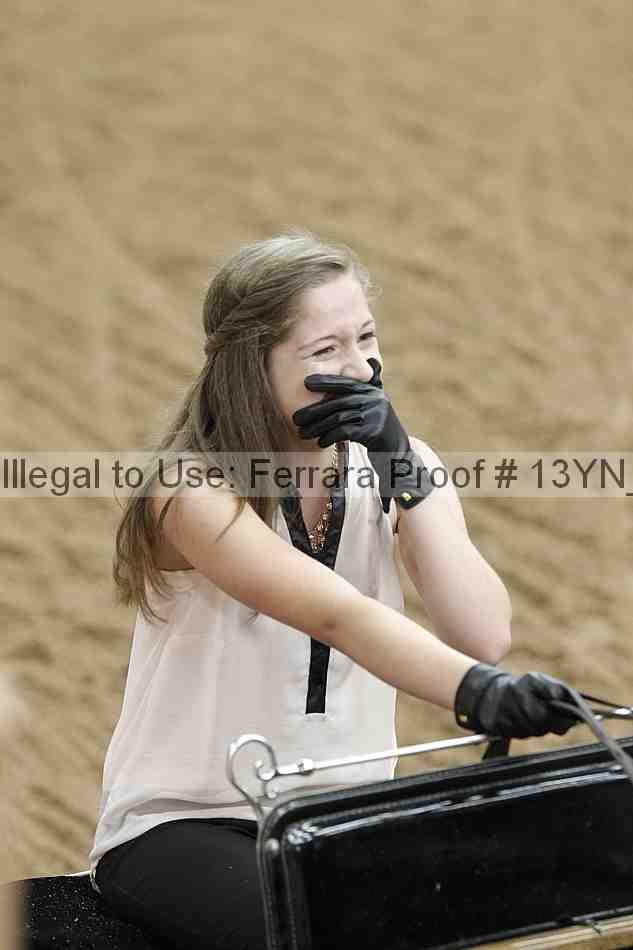 Proof 13yn_01139