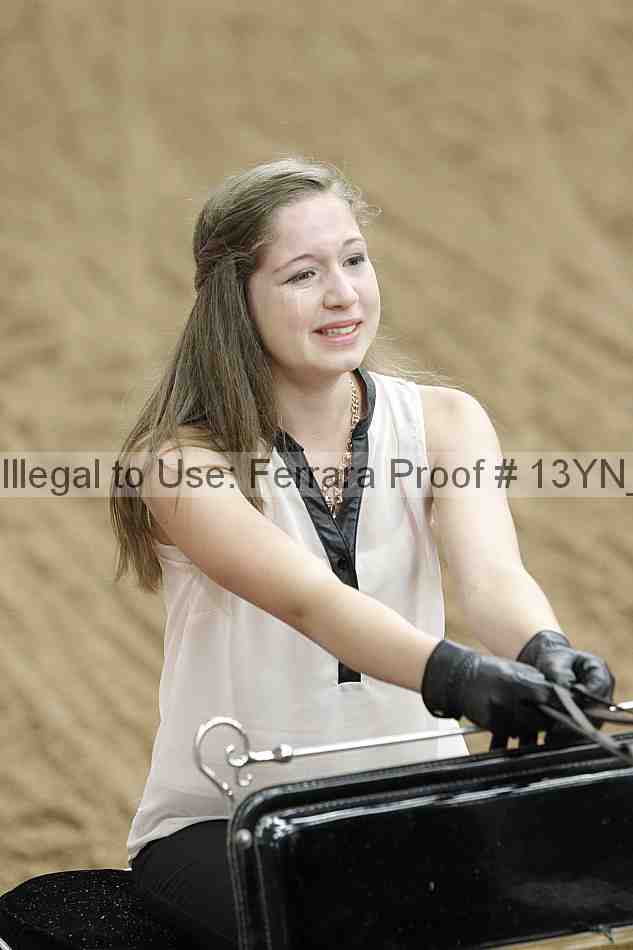 Proof 13yn_01140