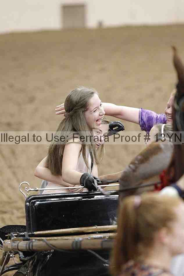Proof 13yn_01154