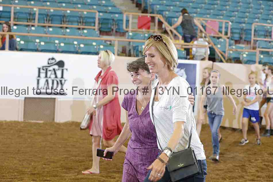 Proof 13yn_01167