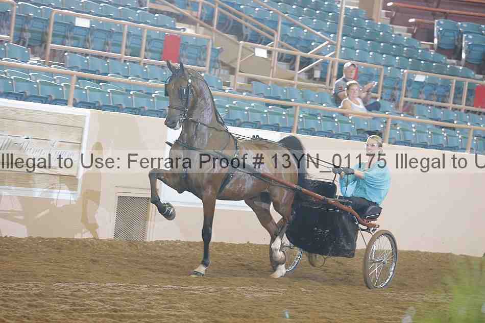 Proof 13yn_01175