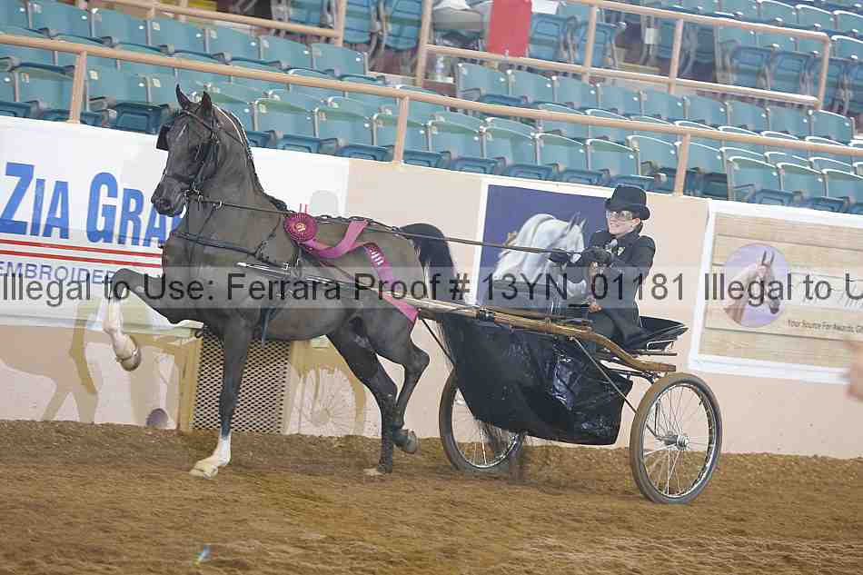 Proof 13yn_01181