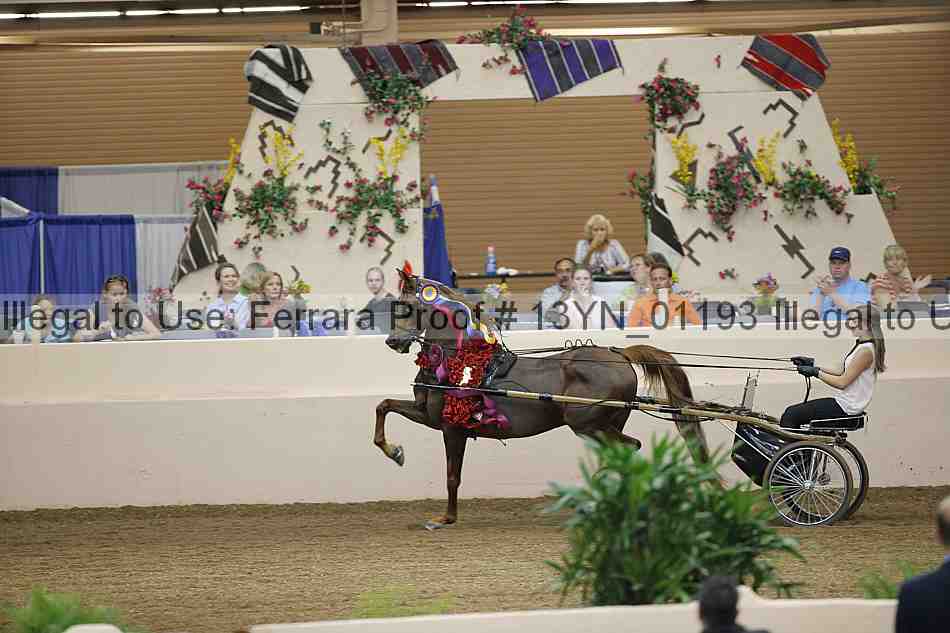 Proof 13yn_01193