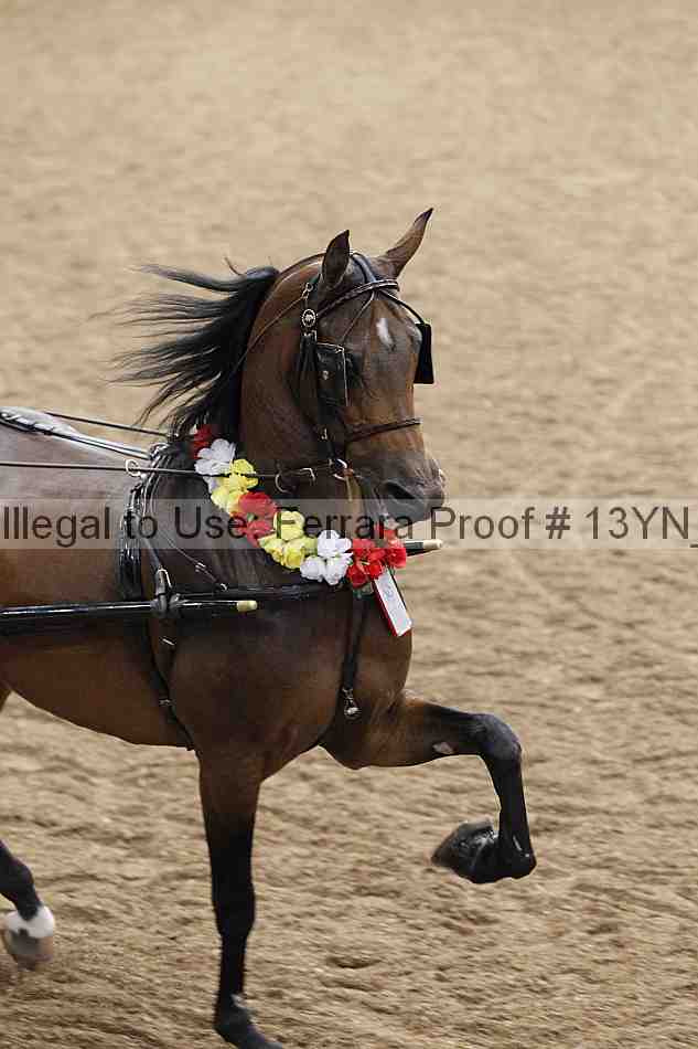 Proof 13yn_01195