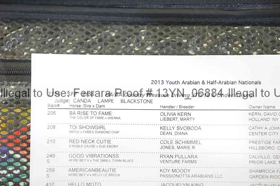 Proof 13yn_06884