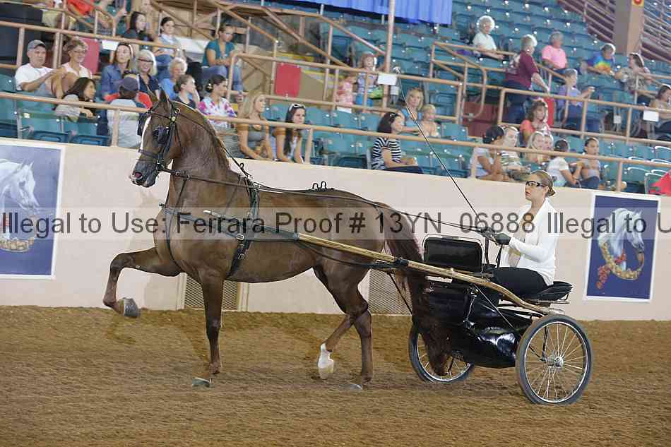 Proof 13yn_06888