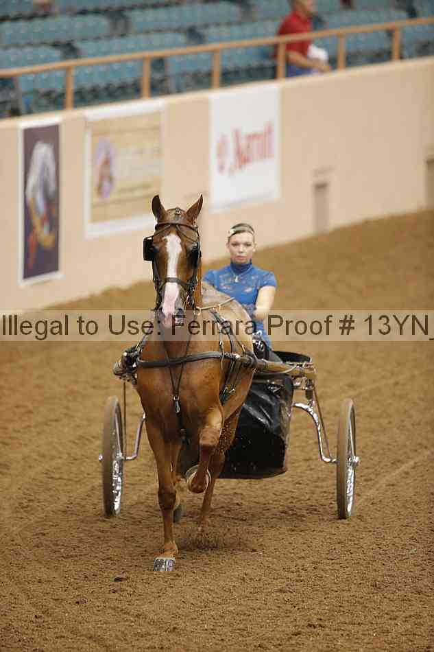 Proof 13yn_06897