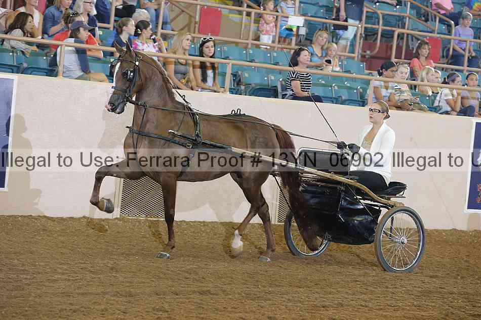 Proof 13yn_06902